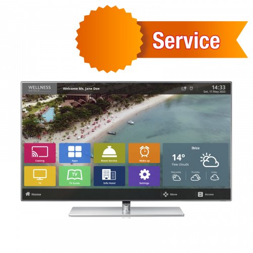 Personalización de la interfaz de usuario Arantia TV y contenidos DS (32 h)