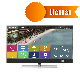 Licence Arantia TV Chaîne Institutionnelle pour Middleware Business